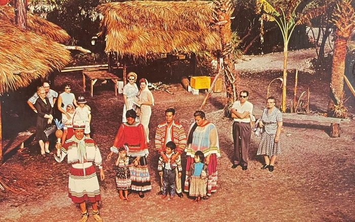 Floridaland - Vintage Postcard